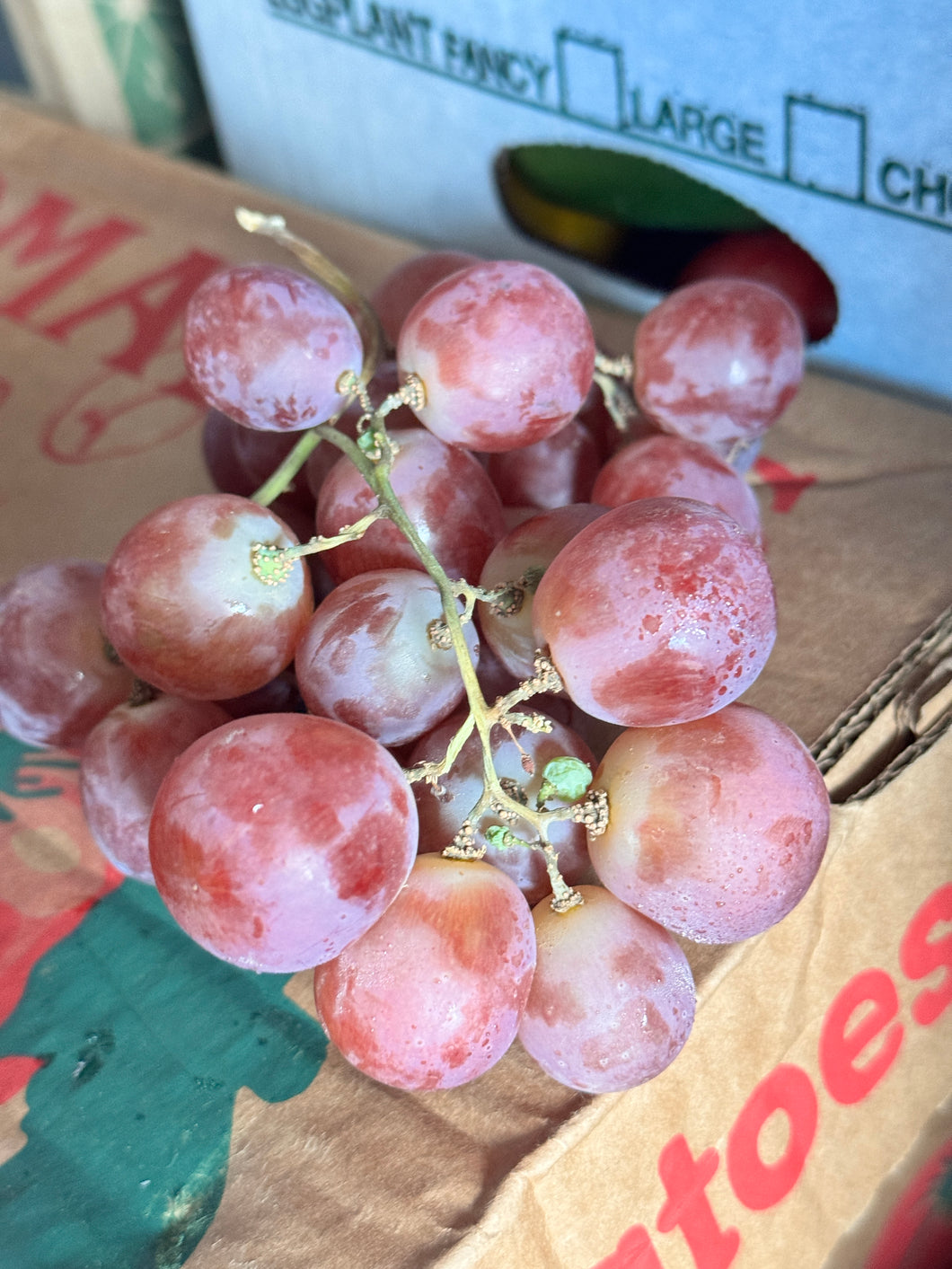 Organic Seeded Red Globe Grapes - $7 per 2.25lbs