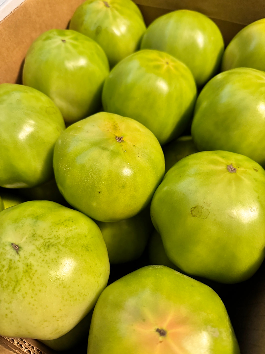 Green Tomatoes - $4 per pound