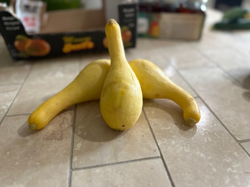 Yellow Crookneck Squash - $2 per pound