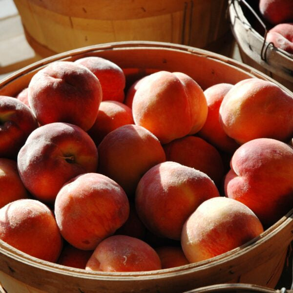 Juicy Peaches - $2.50 per pound