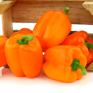 Orange Bell Peppers - $2 each