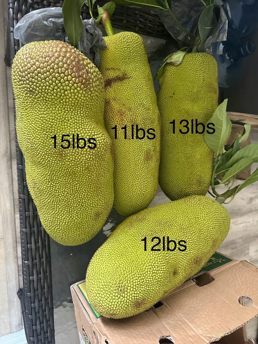 Jackfruit - $3 per pound