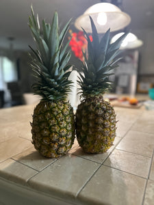 Fresh Pineapples - $5 each