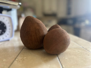 Mamey Sapote (Pouteria sapota) - $5 per pound