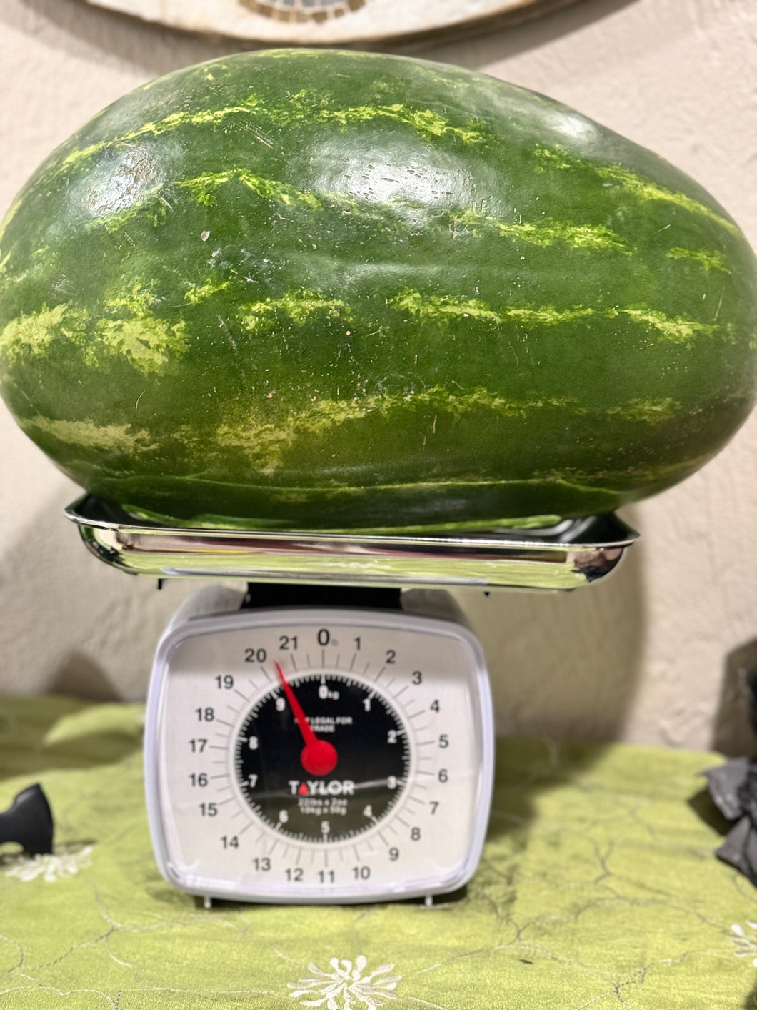 Seeded Watermelon - $12 each - LAST OF SEASON