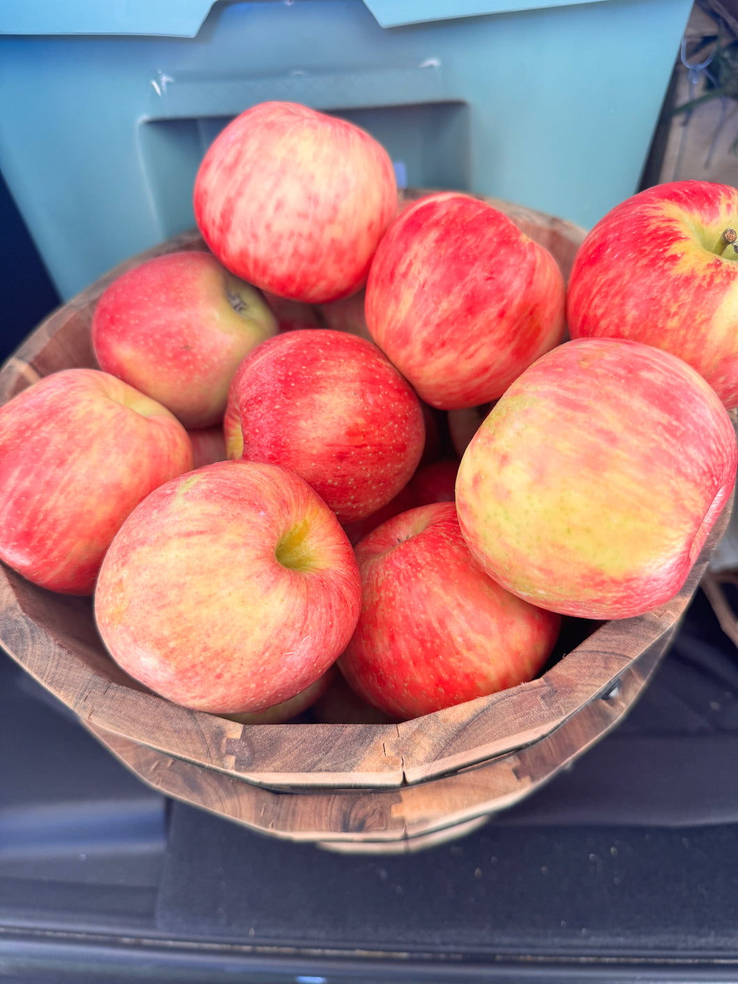 Apples- Gala - $1.50 each