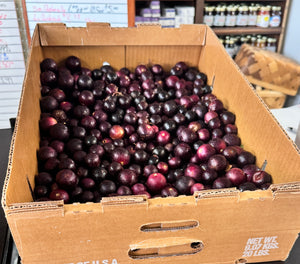 Muscadines - Red - $4 per pound