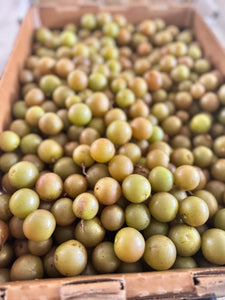 Scuppernong - Green - $4 per pound