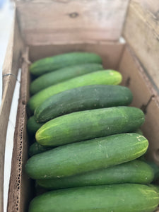 Cucumbers - Garden - $2.50 each