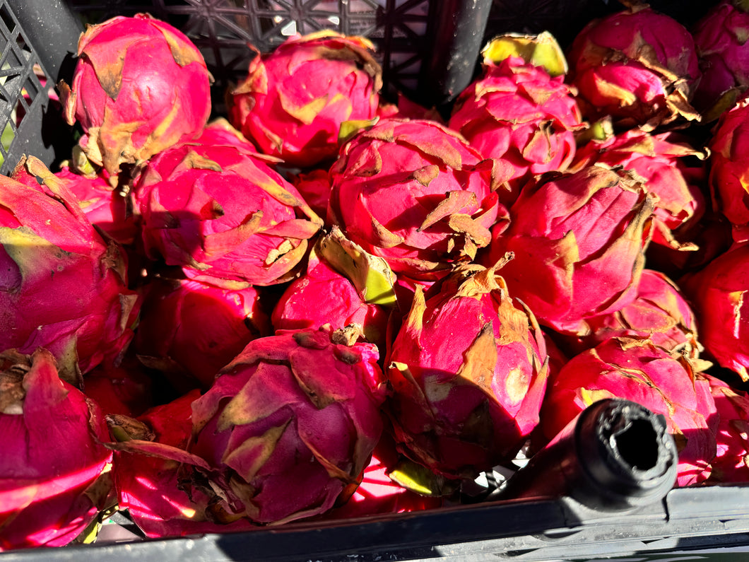 Large Red Dragon Fruit - $5 each