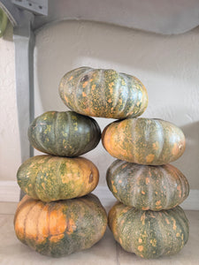 Calabaza Pumpkin - $5 each - OUT OF STOCK