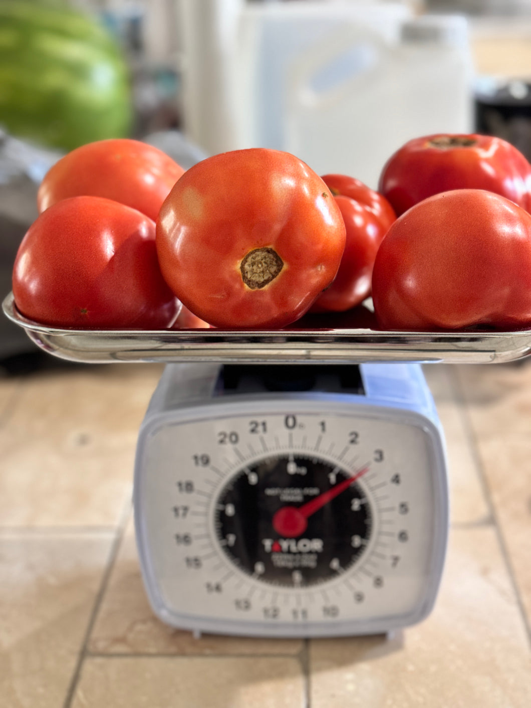 Juicy Vine Tomatoes - $2.50 per pound