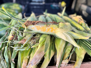 Peaches & Cream Sweet Corn (Bi-Color) - $1.80 each