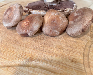 Shiitake Mushrooms - $12.50 per pound