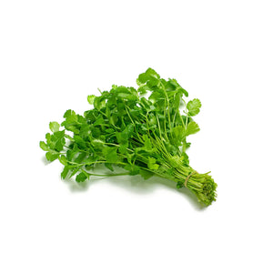 Fresh Organic Cilantro - $2.50 each