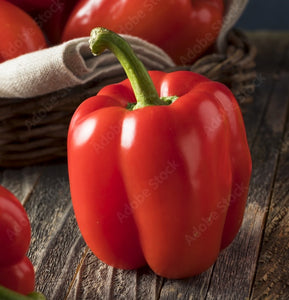 Red Bell Peppers - Organic (Garden Fresh) - $2 each